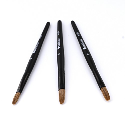 Amazon.com: Sassi Acrylic Nail Brush 3pk #1113 : Beauty & Personal